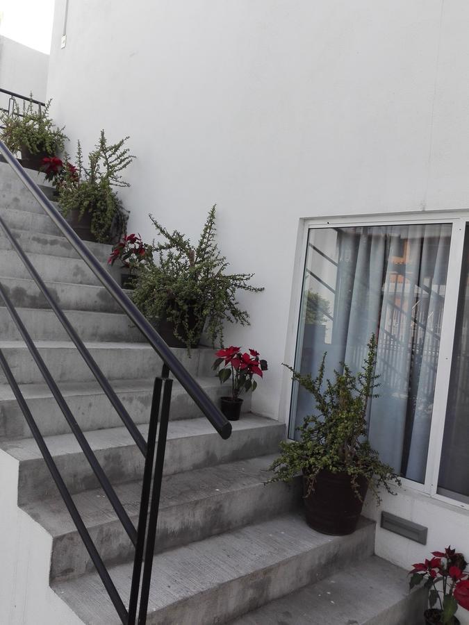 Mv Suites Monterrey Exterior foto
